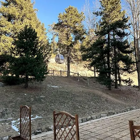 Nid Douillet Entre Neige Et Soleil